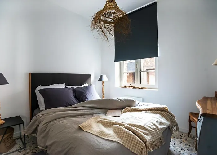 Le Terrazzo - Appartement Lumineux Centre Eu